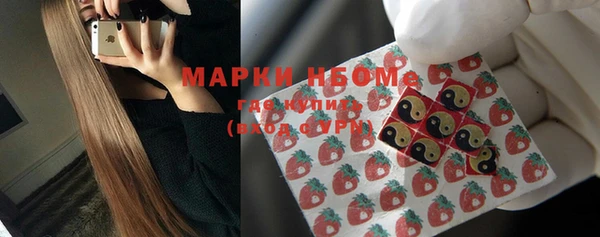 apvp Алексин