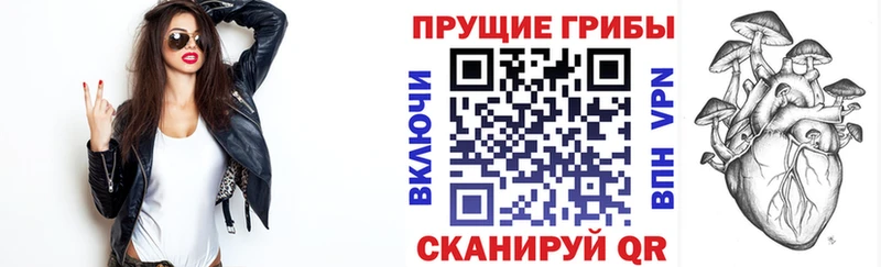 Псилоцибиновые грибы Cubensis  Белгород 
