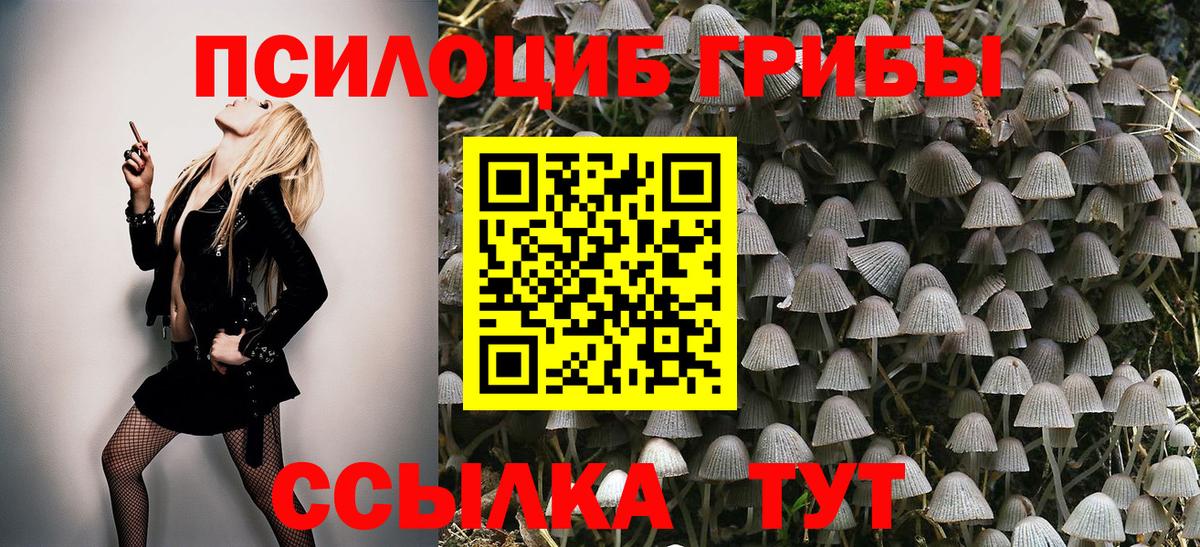 Галлюциногенные грибы GOLDEN TEACHER Белгород