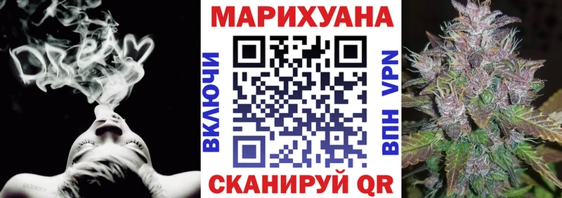 Бошки Шишки планчик Белгород
